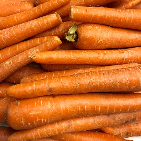 Novella carrot